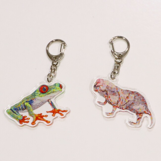 【アトア×NAMIKO】平面水族館(キーホルダー)新しく2種類の生きものが仲間入り!