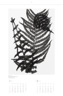 カレンダー1~2月 カレンダー1~2月