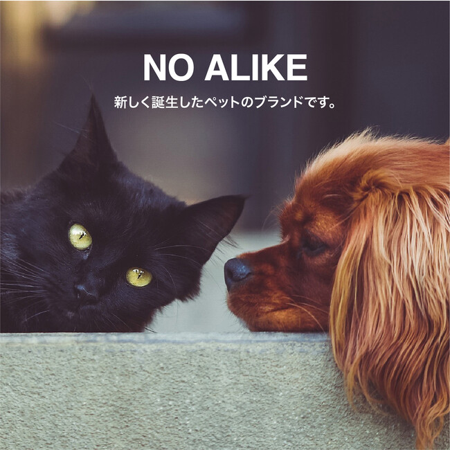 【新商品】ファッショナブルなペット用品を展開するブランド「NO ALIKE」から、ペットリュックとペットタオルが新登場！