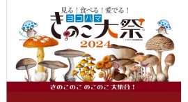 きのこを見て！食べて！愛でる！「ヨコハマきのこ大祭2024」がMMテラスで10/26,27に開催！