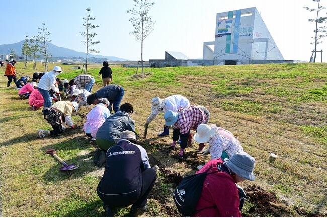 鎮魂と未来への願いを込めて　スイセンの球根を植栽します（岩手県立高田松原津波復興祈念公園）