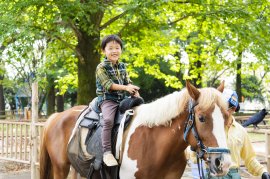 気軽にポニーの乗馬ができる施設として好評のスポット