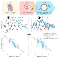 【中部大学】心拍による頭の揺れを無意識に眼球運動が補正することを発見、覚醒度との関連性も実証--眠気検知・居眠り防止の新たな技術として期待--