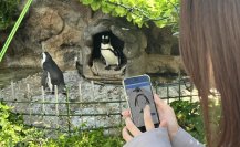 サンシャイン水族館で