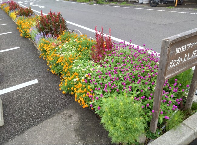 【町田市東京都】花の香り漂う美しいまちづくり 2024年度秋の花壇コンクール受賞団体を発表!