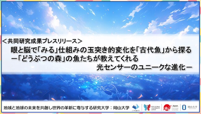 眼と脳で「みる」仕組みの玉突き的変化を「古代魚」から探る-「どうぶつの森」の魚たちが教えてくれる光センサーのユニークな進化-〔京都大学, 甲南大学, 岡山大学, 奈良女子大学〕