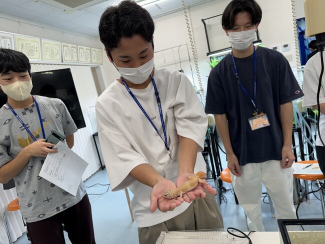 国際こども・福祉カレッジ【姉妹校コラボ授業】「動物×こども」で保育における生き物飼育のあり方を学ぶ