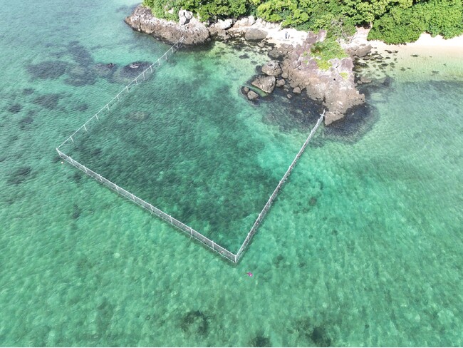東京海上アセット　自然由来系脱炭素の推進および生物多様性保全に向けた取組み拡大と経済価値向上に向けた検討会を開始