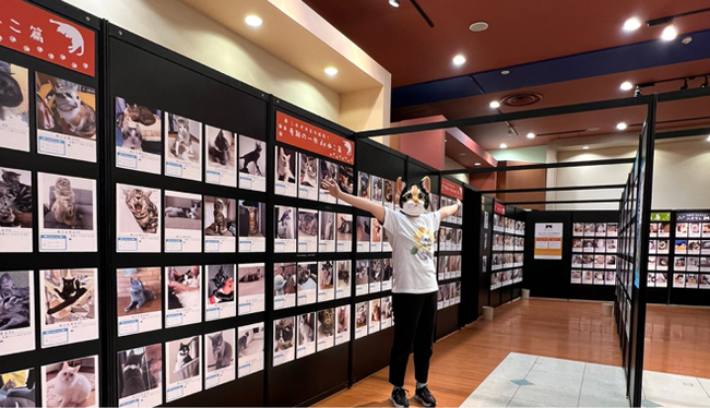 ねこ好きさん集合！ララガーデン川口でねこにすとイベント開催！ふれあい出張動物園や仮装してお菓子がもらえるハロウィンイベントも！