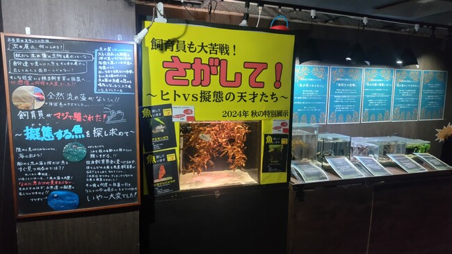 生き物の不思議を体感！「擬態する魚たち展」 ＆ 希少な「オオアタマガメ」の展示がスタート