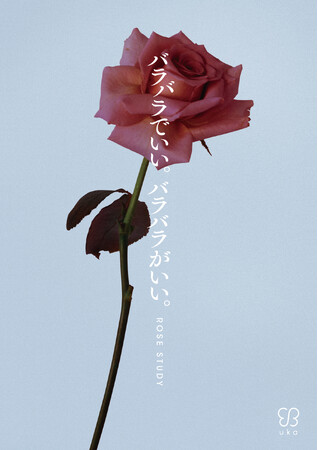 2024年のテーマはrose study。11月1日(金)にuka Holiday Coffret rose studyを発売