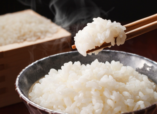 「プレナス米文化継承活動」×「作家・山口謠司氏」日本の食文化トークイベント