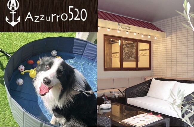 ～愛犬と一緒に楽しい食事のひとときを～お子様からご年配の方まで幅広く愛されるスパニッシュイタリアンレストラン「Azzurro（アズーロ）520 柏店」テラス席がペット同伴可能に！