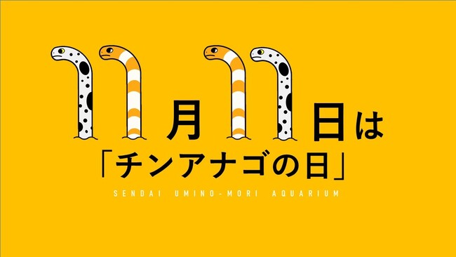 【仙台うみの杜水族館】水族館の隠れた人気者！１１月１１日は…チンアナゴの日【２０２４年１１月１日（金）～１１月１１日（月）】
