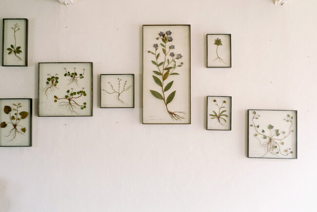 and wander OUTDOOR GALLERY EXHIBITION