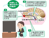 養護教諭に泣いてストレス解消してもらう「涙活（るいかつ）」で、ストレスマネジメントを学ぶ研修会を「なみだ先生」こと感涙療法士の吉田英史が1月14日に千葉県四街道市で実施します。