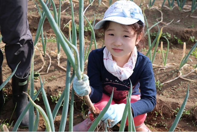 焼いて味わう採れたてねぎ　伊勢崎市「みんなの畑」で農業体験　11月9日（土）〔群馬〕