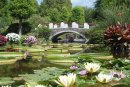 草津市立水生植物公園みずの森