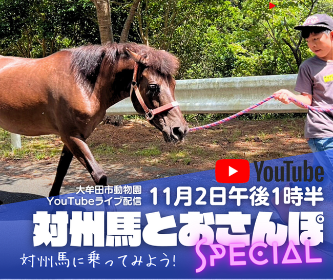 【福岡県大牟田市】大牟田市動物園 YouTubeライブ配信!対州馬とおさんぽスペシャル開催!