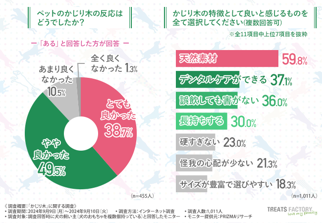【犬の飼い主の「かじり木」への満足度は約9割】かじり木に求める要素上位3要素を網羅したコーヒーの木 「CANOPHERA（キャノフィラ）」の販売が10月下旬からカインズ50店舗にて開始