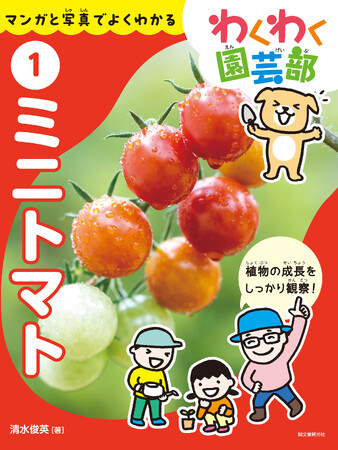 小学校高学年から中学生向けの、園芸本シリーズ誕生!【第一弾は“ミニトマト”】