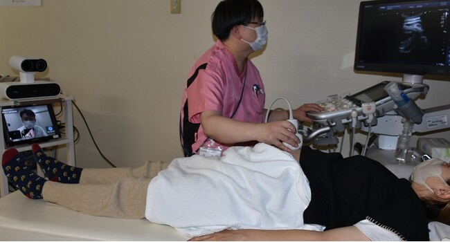 日本国内の遠隔妊婦検診で遠隔医療システム「Teladoc HEALTH」を初めて試験導入