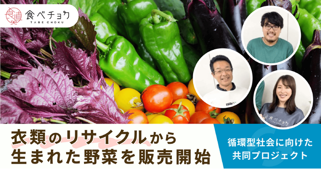 食べチョク、衣類の再利用堆肥で育てた野菜を販売開始。鴨志田農園・ピエクレックス社との連携により実現。