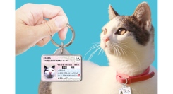 【迷子・防災対策】愛猫用IDカード型グッズ「マイニャンバー迷子札」をリニューアル！