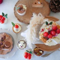 【エシカルチーズケーキ専門店 seed】クリスマスケーキ 11月1日より予約開始