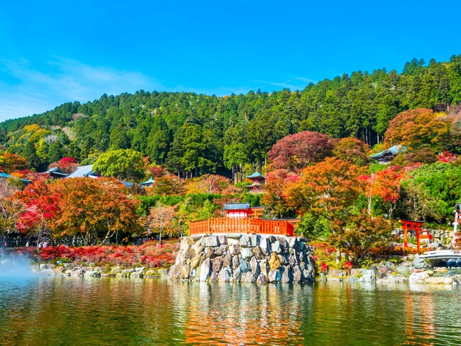 【箕面市・勝尾寺】紅葉期間の“渋滞ゼロ施策”「専用シャトルバス運行」＆「特別夜間ライトアップ」を2024年11月9日（土）より実施！【同期間の駐車場完全予約制もスタート】