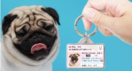 【迷子・防災対策】愛犬用IDカード型グッズ「マイワンバー迷子札」をリニューアル！