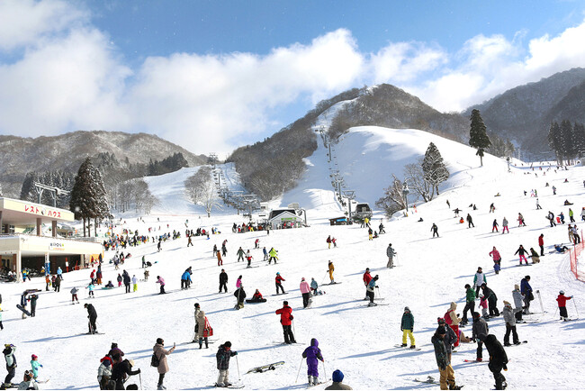 【総額21億8千万円！スキー場への設備投資】「人工造雪機＋人工降雪機」の増設「合計45基」で雪造り！エスカレーター6基新設！「グランスノー奥伊吹」は「11月22日～4月13日」まで「5ヵ月オープン」！