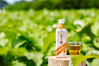 12年連続ごぼう茶売上No.1※1のあじかんが14年間かけて研究開発！ペットボトルタイプの焙煎ごぼう茶「おいしい！ごぼう茶」を11月1日に発売