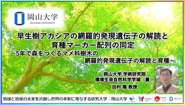 【岡山大学】早生樹アカシアの網羅的発現遺伝子の解読と育種マーカー配列の同定～5年で森をつくるマメ科樹木の網羅的発現遺伝子の解読と育種～
