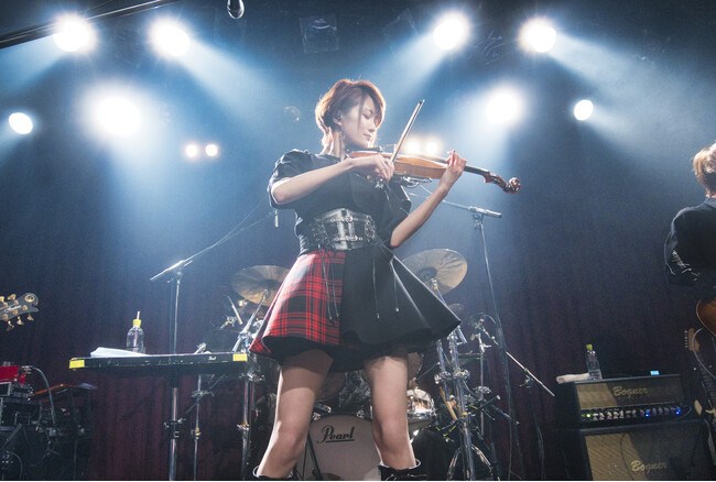 Ayasa LIVE TOUR 2024 ～D.D.D.～ 11月16日で東京公演いよいよファイナル！！！