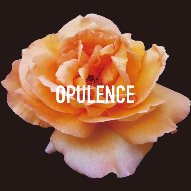 【OPULENCE】渋谷PARCOにてPOPUP SHOPを開催。パルコ5周記念を祝うスペシャルイベントを企画。