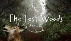 不思議な森からの脱出を目指す新作ゲーム『TheLostWoods / 迷いの森』のSteamストアページを公開