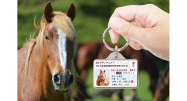 愛馬用IDカード型グッズ「ウマナンバー迷子札」をリニューアル！