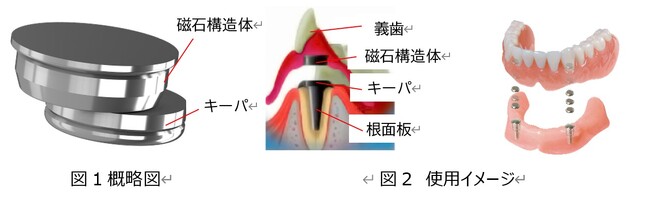 「東京デンタルショー2024」に出展