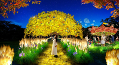 11/23~12/8「小金井公園」の植物、歴史や文化、集う人々の活動を“あかり”で表現 「夜の公園散策」をテーマにしたライトアップイベントを初開催! 「花と光のムーブメント」 小金井公園ナイトパーク ワンダー
