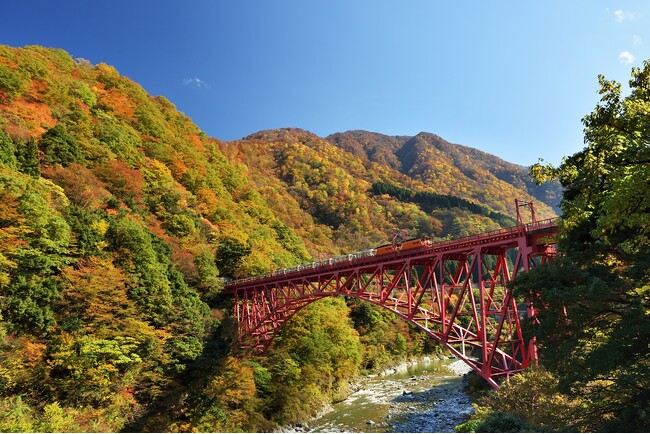 黒部峡谷（トロッコ電車沿線）の紅葉見頃について