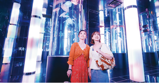 【DMMかりゆし水族館】沖縄県民向け特別割引キャンペーン「クリスマスしまんちゅ割」11月15日（金）～12月20日（金）まで開催