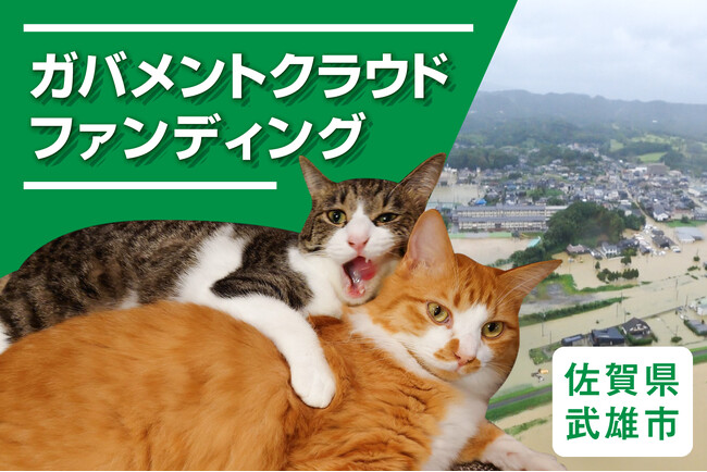 佐賀県武雄市ふるさと納税で「地域猫活動」と「治水対策」助成のため、ガバメントクラウドファンディングを開始いたしました。