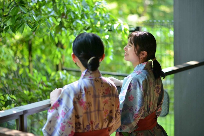 野鳥天国・芦ノ湖、蒼穹の湖に集う数多の野鳥を気軽に観察、はなをりバードウォッチングプランの販売【箱根・芦ノ湖 はなをり】