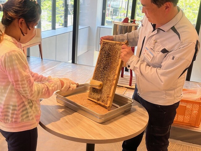 都市養蜂と自然の恵みを楽しむ！「秋の採蜜体験　ハニーナッツを作ろう」