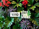 ｢VIVID｣のスローガン