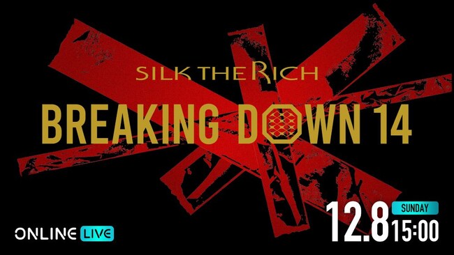 朝倉未来プロデュースの1分間の格闘イベント2024年12月8日（日）開催 『SILK THE RICH presents BreakingDown14』「ABEMA PPV」にて全試合生中継決定