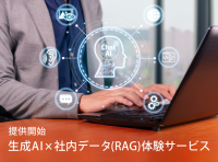 企業の課題解決を支援する生成AI×社内データ(RAG)体験　新サービスの提供を11月12日より正式に開始