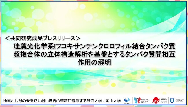 珪藻光化学系Iフコキサンチンクロロフィル結合タンパク質超複合体の立体構造解析を基盤とするタンパク質間相互作用の解明〔静岡大学, 岡山大学 ,京都大学〕