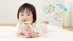 新発想！くるっとひっくり返すと形が変わる2way歯がため【カミカミBaby リバーシブル】が11月中旬発売